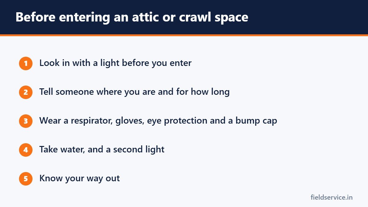 Before entering an attic or crawl space